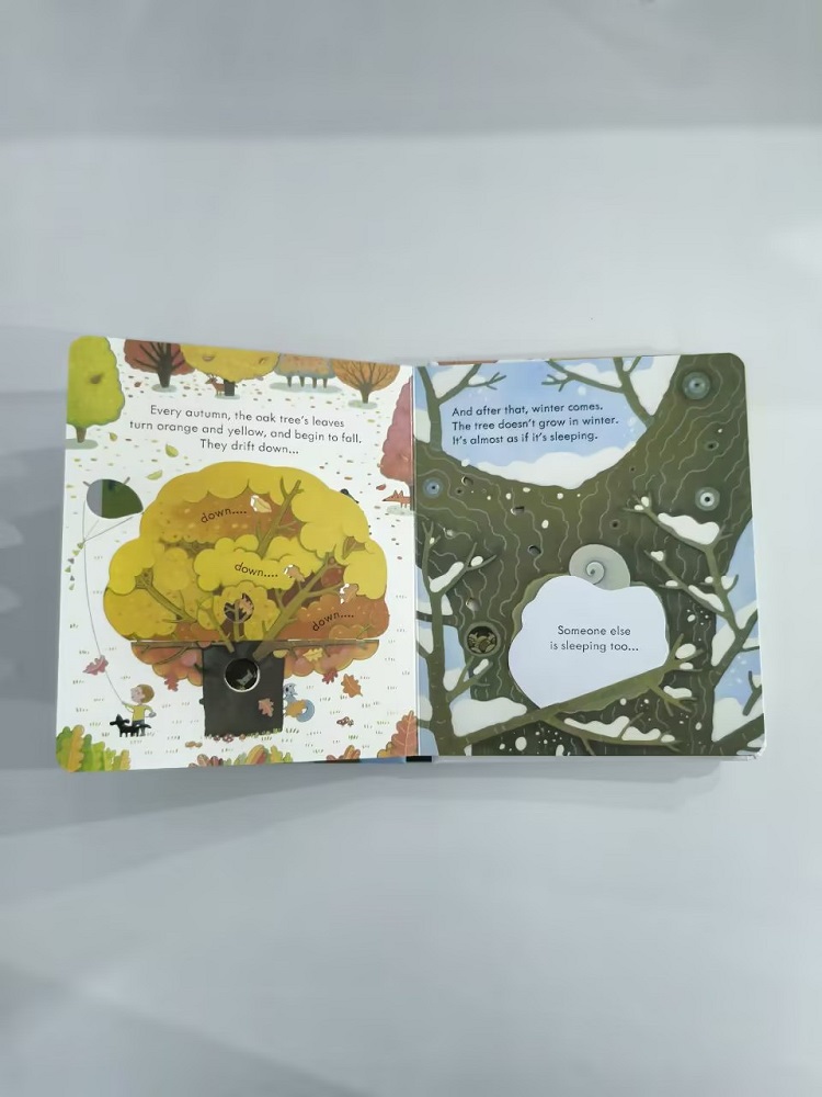 Книга с 3D-окнами Usborne 